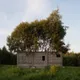 Клумба — 3